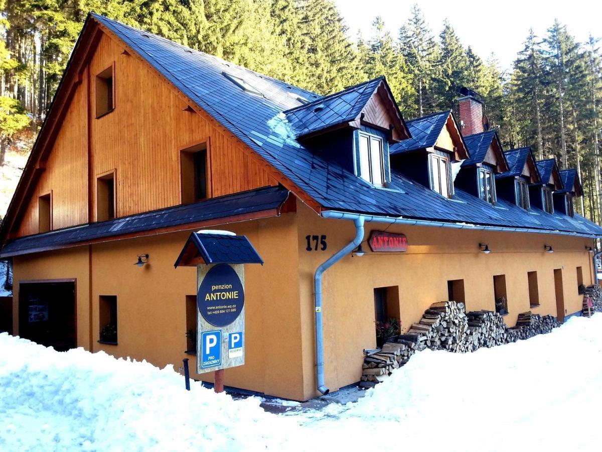 Penzion Antonie Malá Morávka エクステリア 写真
