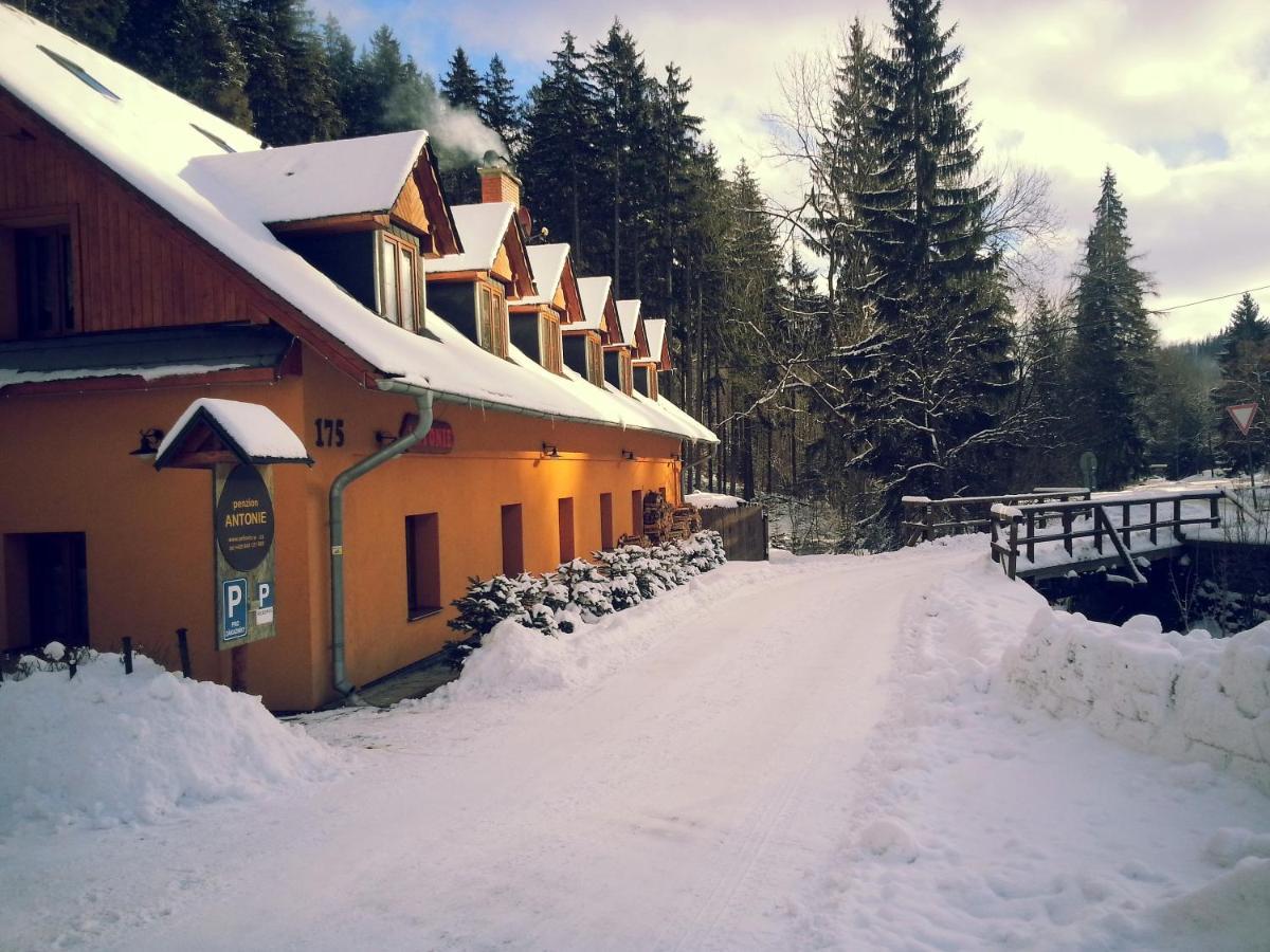 Penzion Antonie Malá Morávka エクステリア 写真